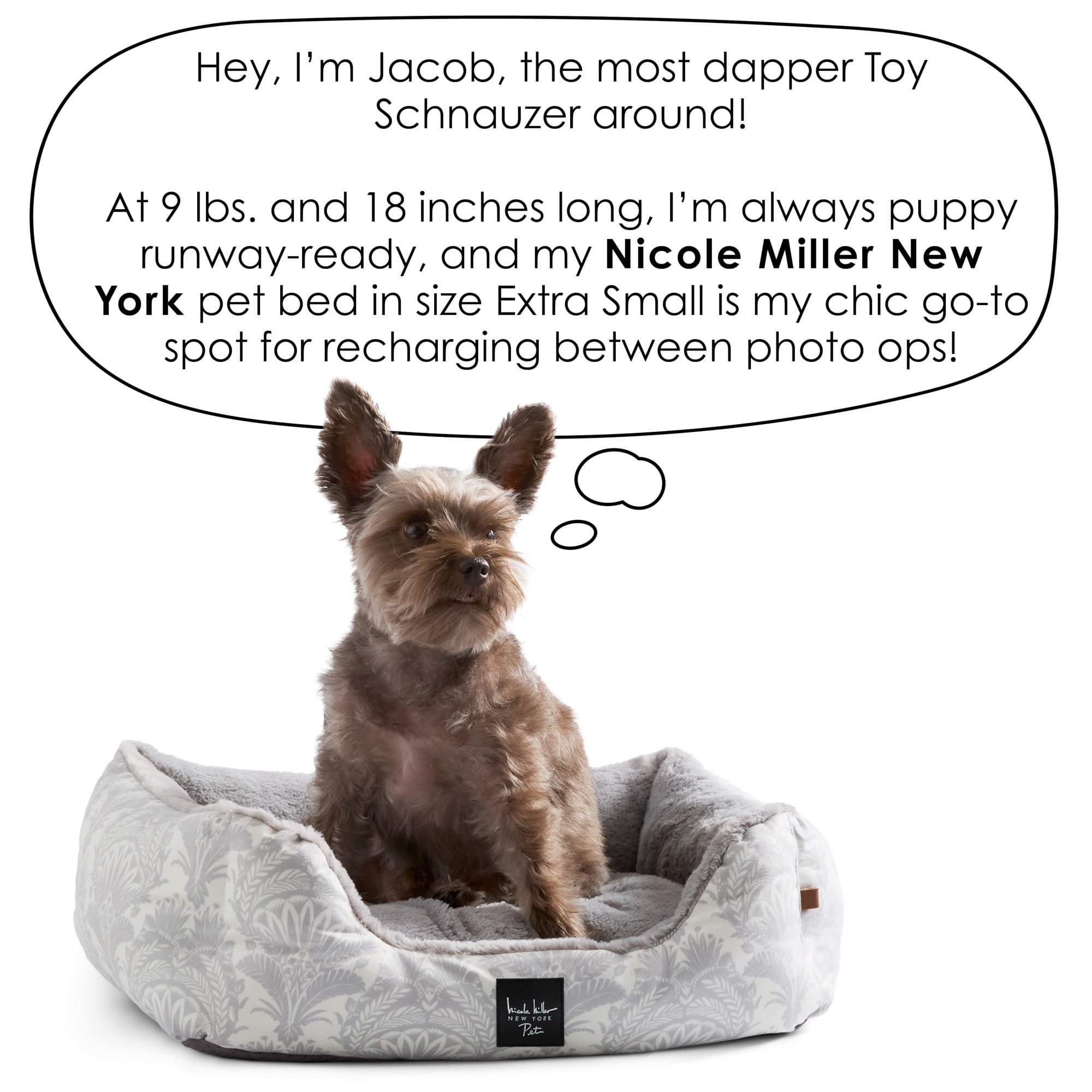 NICOLE MILLER NEW YORK PET Mod Damask Plushy Bolster Pet Bed, Cozy & Calming, Water Repellent, Non-Slip Bottom, 100% Machine Washable, Blue, Extra Small 19"x15"x6"