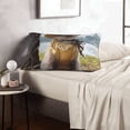 thumbnail image 6 of Zufioo Cat In Sun Hat Print Double-sided Plush Pillow Cover,Decorative Pillow Protector without Pillow Core, Suitable for Sofa, Bedroom, Car-20"x30", 6 of 6