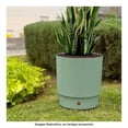 thumbnail image 4 of Maceta Plásticos La Ardilla Redonda D35 Verde Esparrago, 4 of 4
