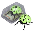 thumbnail image 2 of ICQOVD Realistic Insect Model Educational Display Tool, 2 of 8