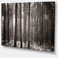 thumbnail image 2 of Belle Forêt Brumeuse en Automne - Impression sur Toile Forêt, 2 of 4