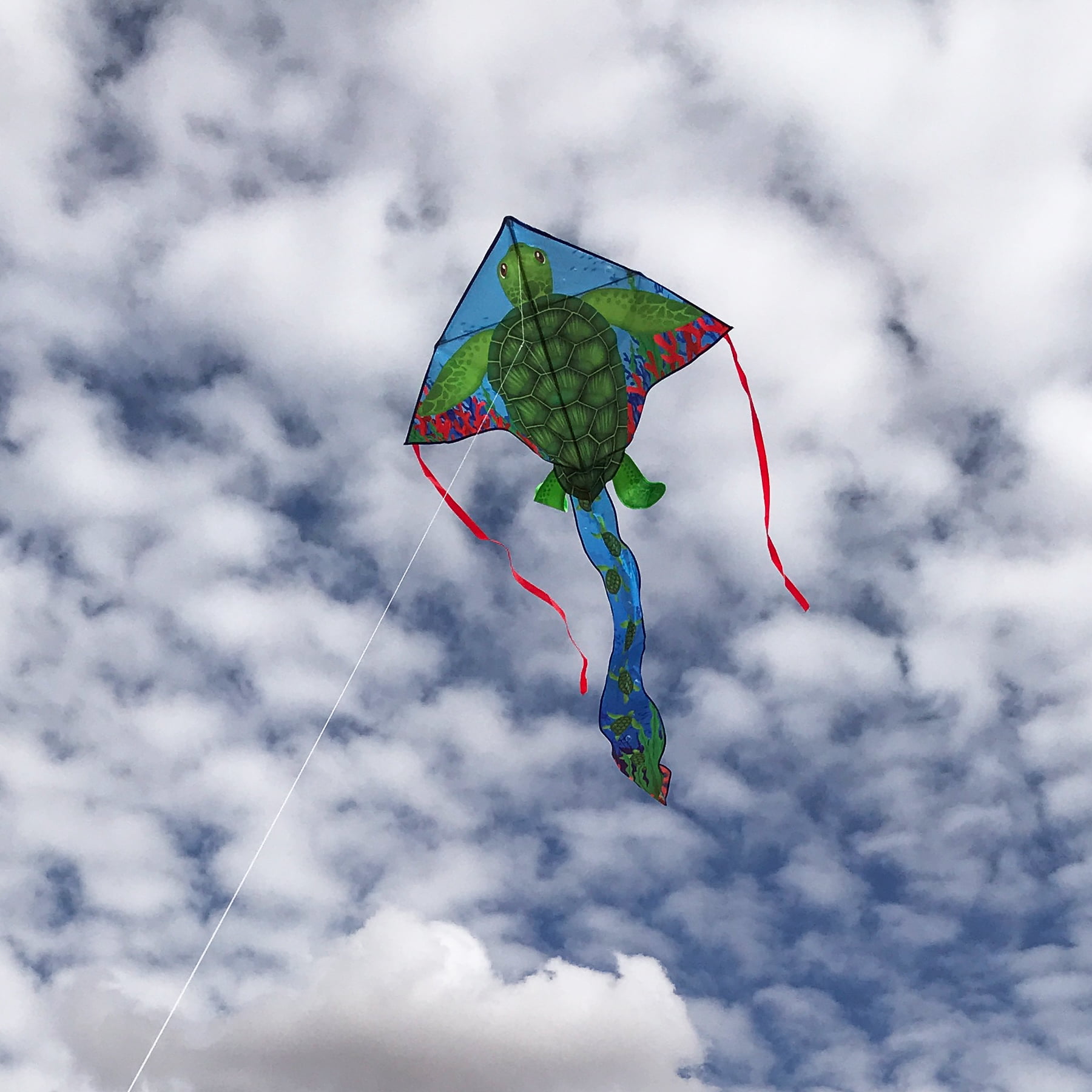 In the Breeze 3322 — Sea Turtle 45 Inch Fly-Hi Kite - Fun, Easy Flying Kite for All Ages