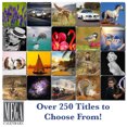 2023 2024 Hearts Calendar Valentine Calendar Arts Crafts Calendar