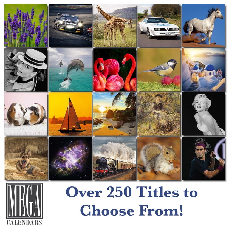2023 2024 Siberian Husky Calendar - Dog Breed Monthly Wall Calendar - 12 x  24 Open - Thick No-Bleed Paper - Giftable - Academic Teacher's Planner  Calendar Organizing & Planning - Made in USA - Walmart.com
