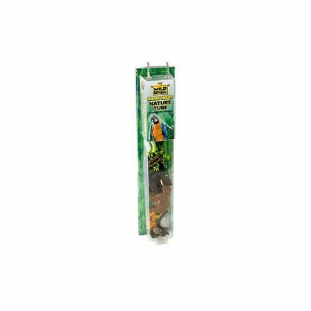 Rainforest Nature Tube by Wild Republic - 12755 - Walmart.com
