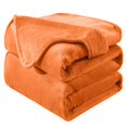 thumbnail image 1 of Manta suave tamaño king para todas las estaciones, cálida y difusa, de microfelpa, ligera, térmica, de forro polar, para verano, otoño, invierno y primavera, para cama king size, sofá, 90 x 108 pulgad, 1 of 1