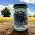 thumbnail image 2 of Pine Trees Vegan Coconut Soy 12 oz/ 355 ml Candle Hand-poured, Eco-friendly, Clean Burning, Woodsy/ Clean Christmas, 2 of 5