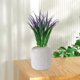 thumbnail image 5 of Crea hojas tropicales altas y brillantes para decorar interiores y exteriores en cualquier época del año. Decoración para patios y porches. Embellece tu jardín., 5 of 5