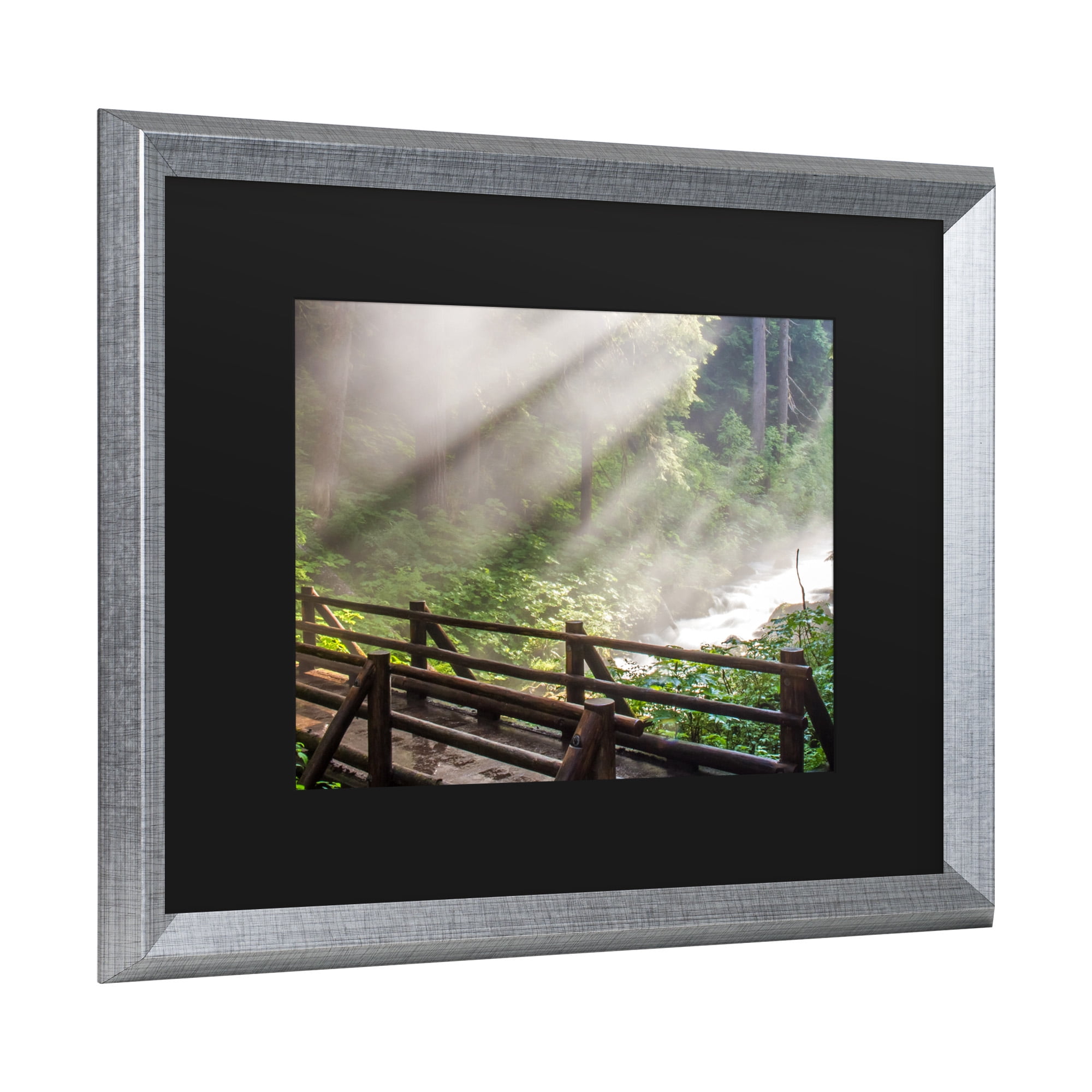 Trademark Fine Art 'Forest Sunlight' Canvas Art by Pierre Leclerc
