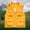 Yellow, variant on Mens Lightweight Sai Travel Fishing Vest Photography Outdoor Work Cargo Vest with Muti Pockets Big and Tall Size S-6XL Yellow