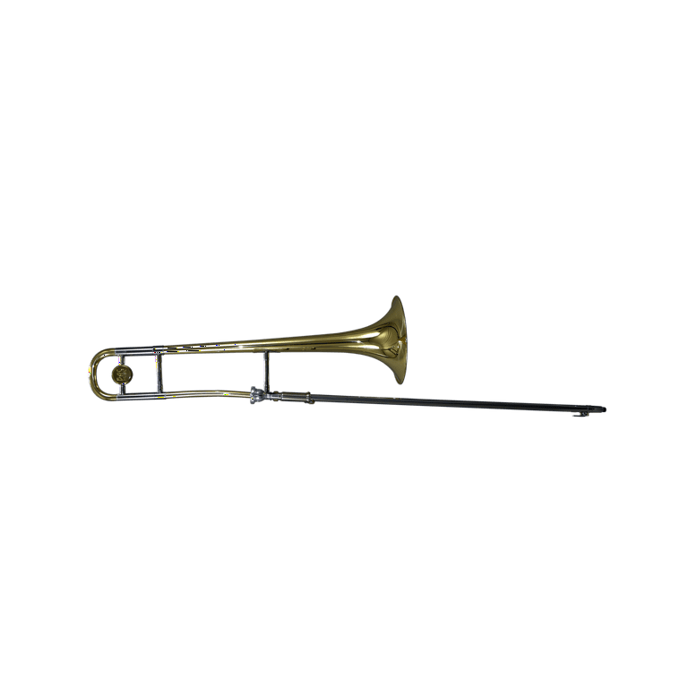 BAC Beginner Musical Instruments 