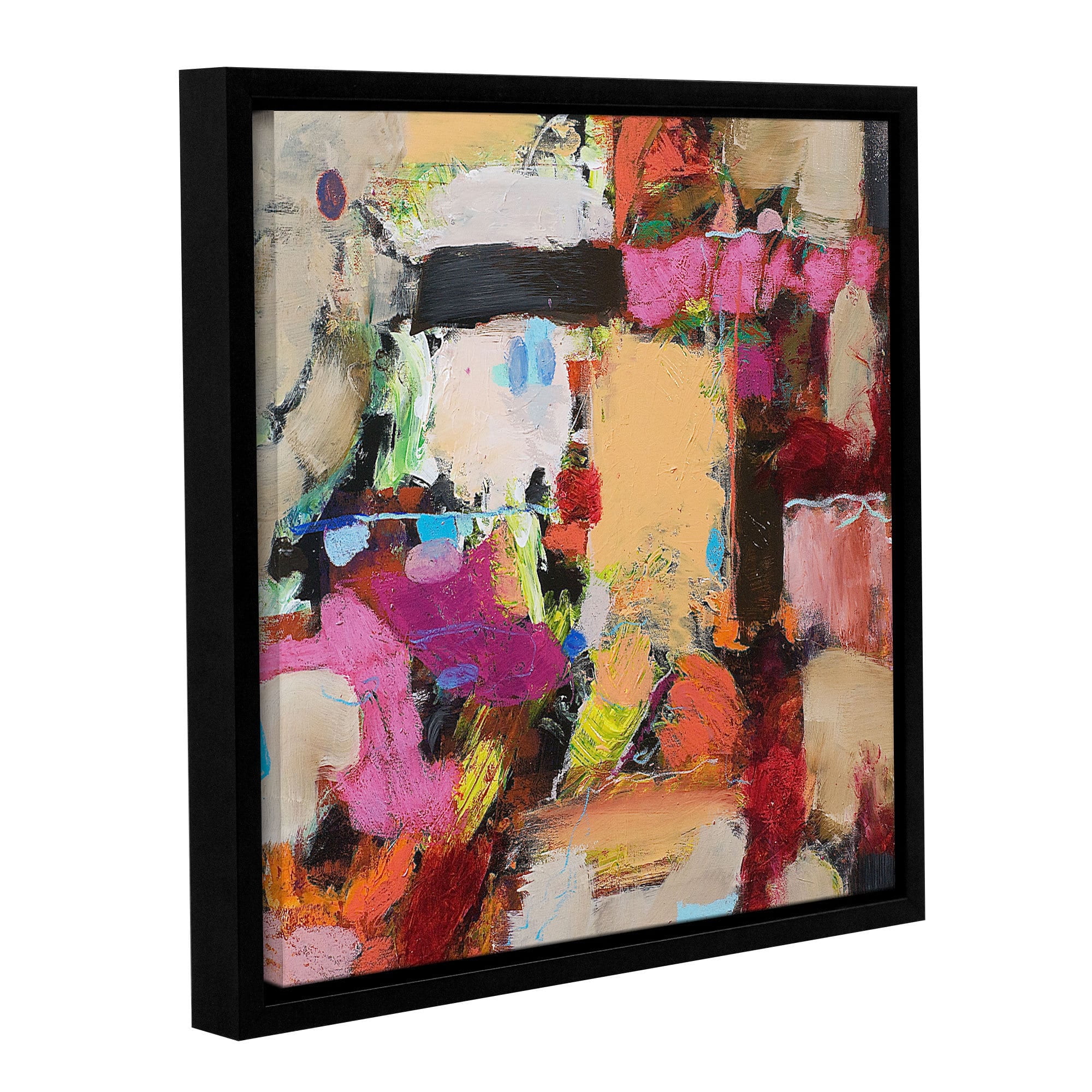 ArtWall Allan Friedlander "Follies" Gallery-wrapped Floater-framed Canvas