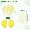 thumbnail image 2 of 100 Pcs Yellow Skeleton Leaves, 2"- 3" Rubber Tree Scrapbooking Dried Pressed Leaves Vein for Photo Albums Crafts, 2 of 7