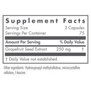 Nutricology Citrus Seed Extract Supplement - Grapefruit Seed Extract 250mg, Supports Metabolic Function, Vegetarian Capsules - 150 Count
