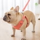 thumbnail image 3 of Conjunto de arneses y correas para mascotas\ Chalecos suaves y transpirables con tiras reflectantes\ Arneses para mascotas a prueba de fugas\ Fáciles de usar para pasear y viajar con Akmoler, 3 of 8