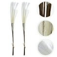 thumbnail image 4 of Shisuyan Simulated Pampas Grass Beige 10Pcs 27.6x1.2in, 4 of 8