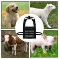 thumbnail image 3 of 2 Correas de Pesaje para Animales de 200 , Correa para Cerdos, Eslinga para Pantorrilla, Transpirable Yuyangstore Correa de pesaje de ganado, 3 of 8