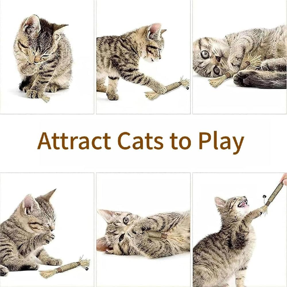 Elystria Silvervine, Elystria Natural Silvervine Dental Sticks, Silvervines Sticks for Cats, Interactive Kitten Chew Playthings, Pets Cat Chew Stick Toy, for Cats Teeth Cleaning