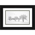 thumbnail image 1 of Xu, Mei 14x10 Black Ornate Wood Framed with Double Matting Museum Art Print Titled - White World, 1 of 4