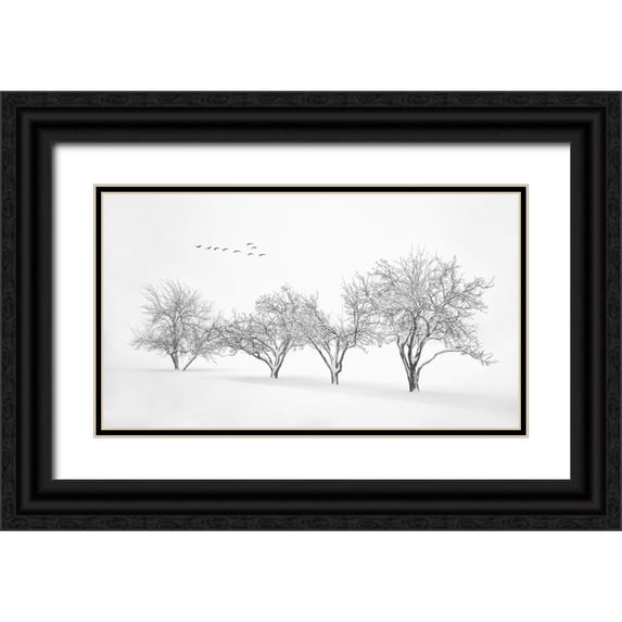 Xu, Mei 14x10 Black Ornate Wood Framed with Double Matting Museum Art Print Titled - White World