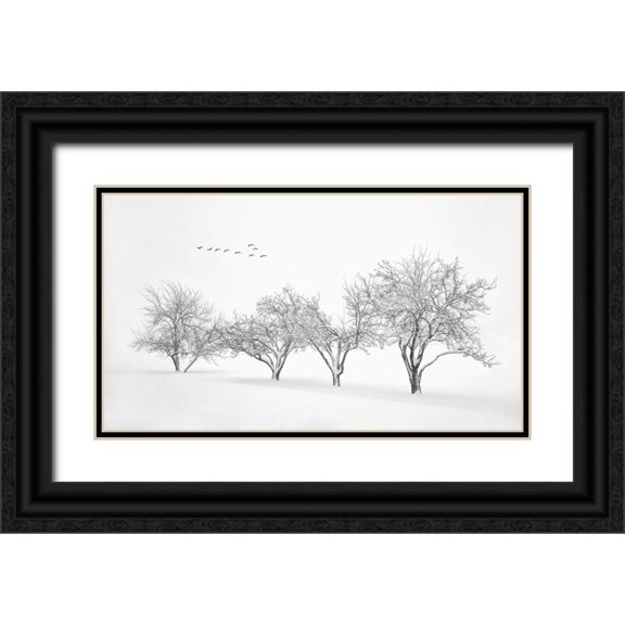 Xu, Mei 24x15 Black Ornate Wood Framed with Double Matting Museum Art Print Titled - White World