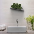 thumbnail image 2 of Almacenamiento flotante en estante de papel higiénico, decoraciones de pared para baño, soporte de papel higiénico de pared inclinada, organizador de decoración de inodoro montado, 2 of 5