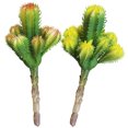 thumbnail image 2 of 2PCS Artificial Succulent Unpotted DIY Decorative Fake Cactus Artificial Plant, 2 of 8