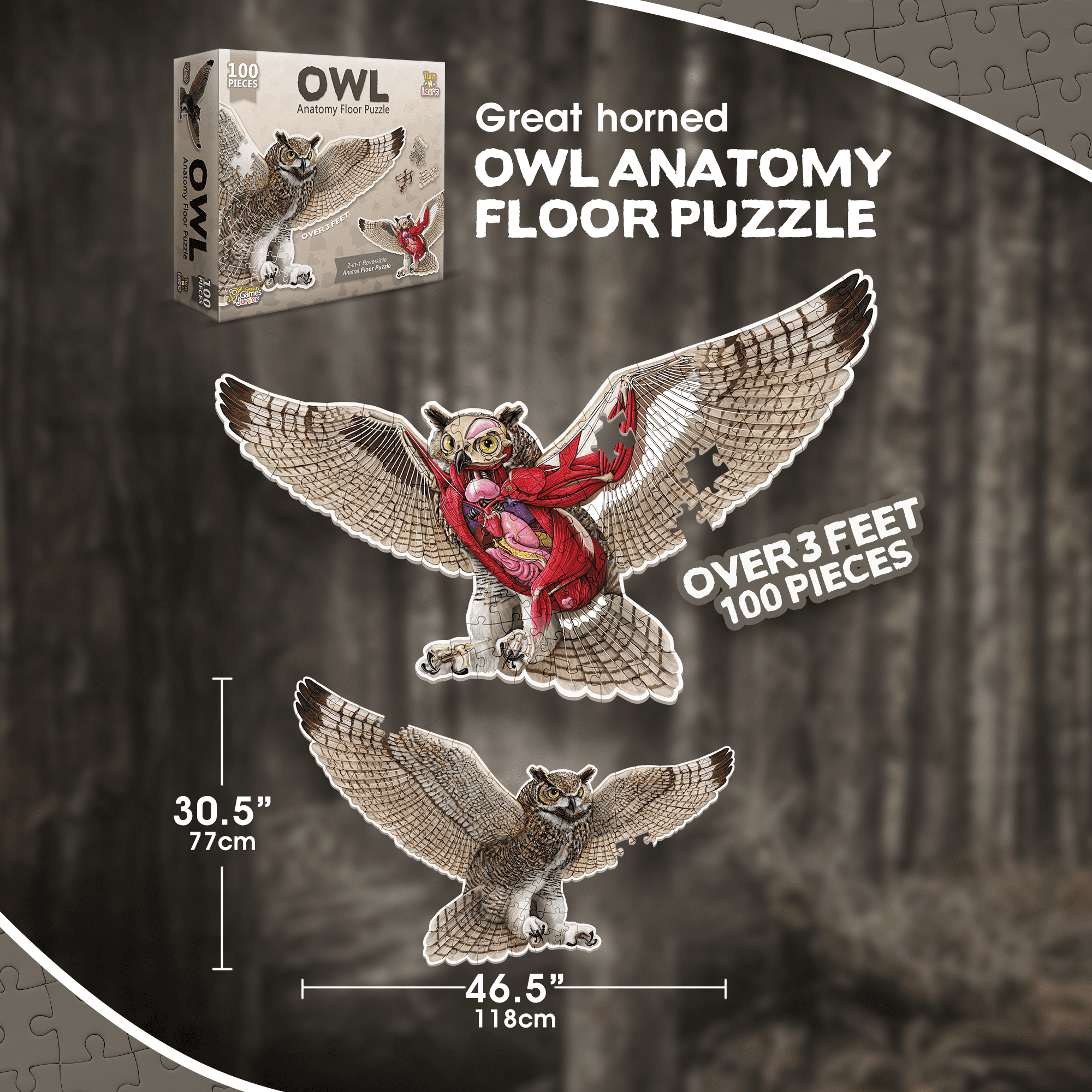 Owl Animal Anatomy Floor Puzzle | 100-Piece Double Sided Jigsaw Puzzle | Large-Sized, Over 3 Feet Scientifically Accurate Illustration