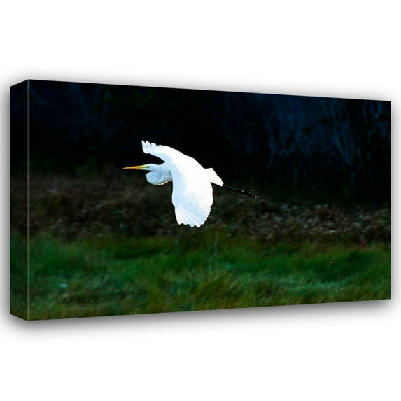 Alan Hausenflock 44x31 Gallery Wrapped Canvas Wall Art Titled - Egret in Flight I