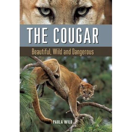 Cougar - The Cougar : Beautiful, Wild and Dangerous