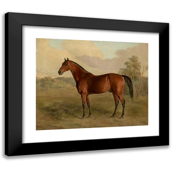 Edward Troye 14x12 Black Modern Framed Museum Art Print Titled - Kentucky Woodpecker (1834)