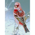 thumbnail image 1 of Cuadros Decorativos (DE3312) 5D DIY taladro completo diamante pintura punto de cruz bordado (Animal-W090) 30x40cm Ehuebsd embutido en tela, 1 of 1