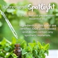 thumbnail image 4 of 100% Natural Peppermint Plug in Air Freshener, Scented Oil Refills, 2 Refills + Diffuser, 4 of 8