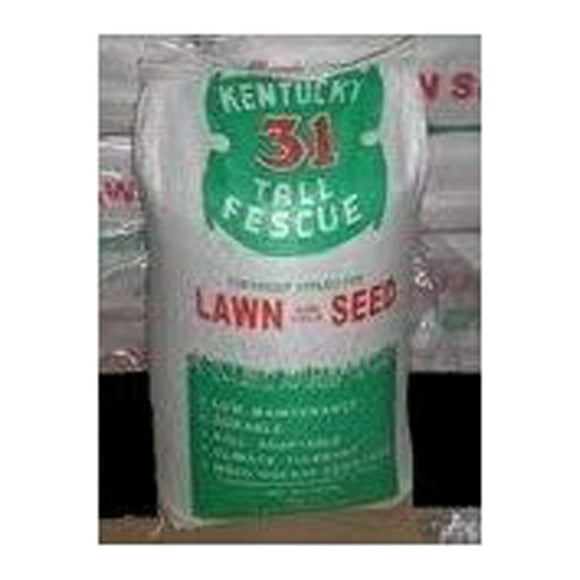 Kentucky 31 Tall Fescue Grass Seed