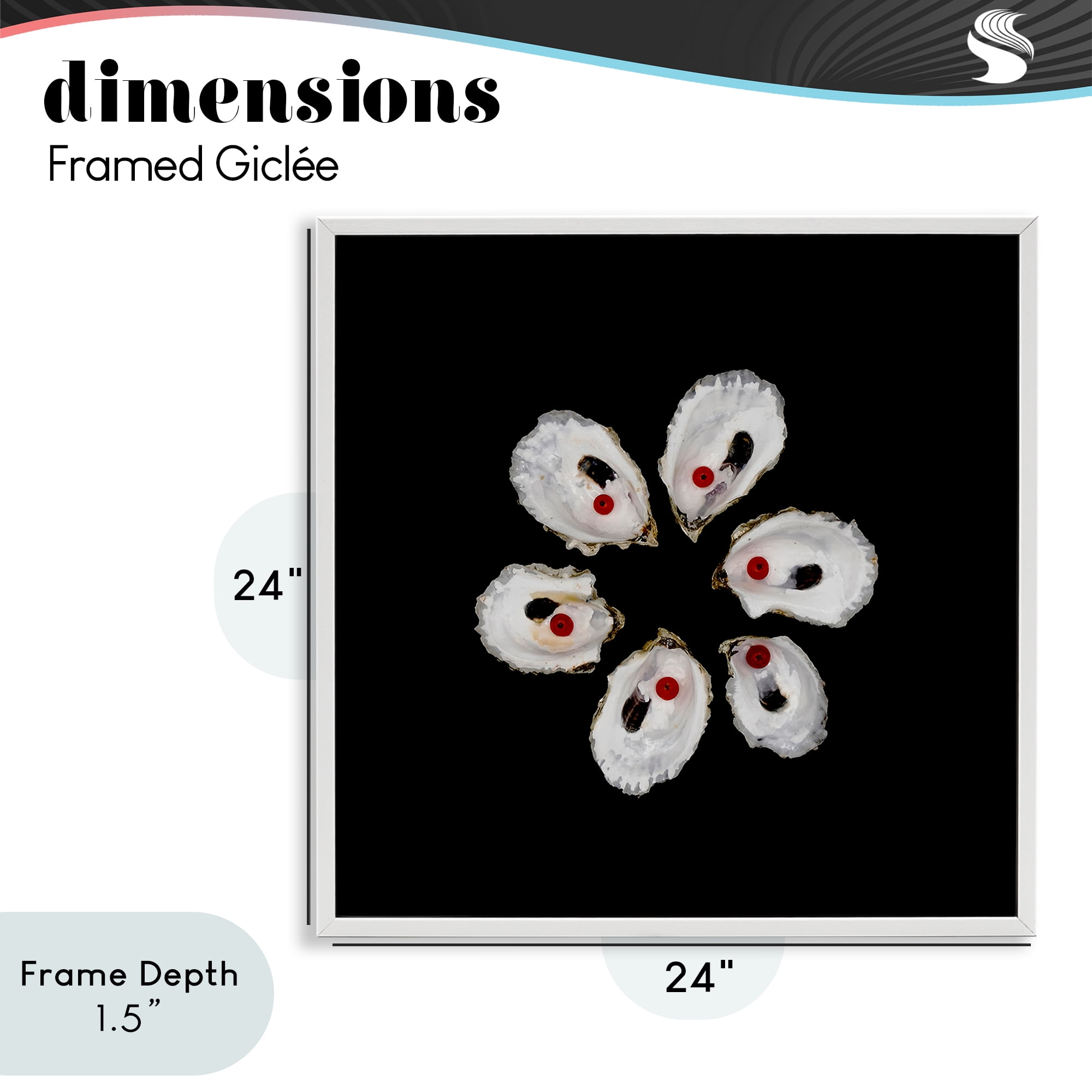 Stupell Industries Oyster Shells Symmetry White Framed Giclee Art, design by Beth Adoette