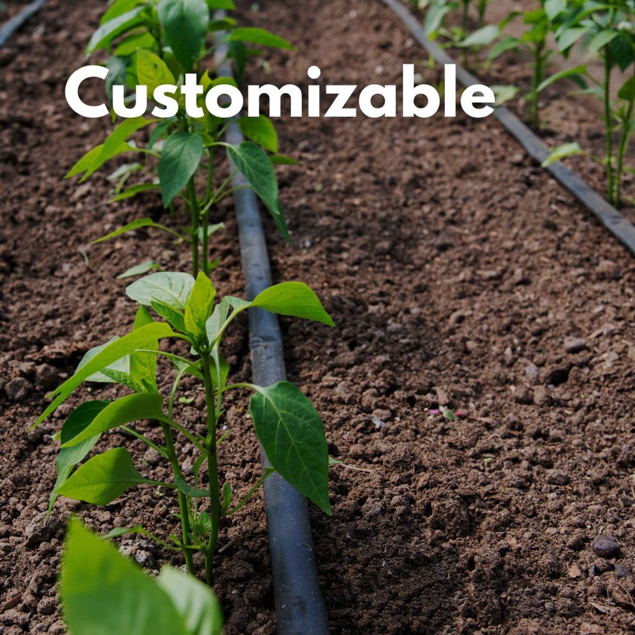 DripWorks Garden Bed Drip Irrigation Kit