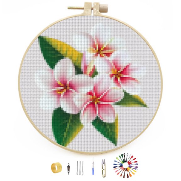 DIY Stamped Cross Stitch Kits Plumeria Flowers Easy for Beginners with Hoop 11CT Counted Embroidery Needlepoint Crafts Arts for Handmade Enthusiasts and Home Decor 30x30cm(1)