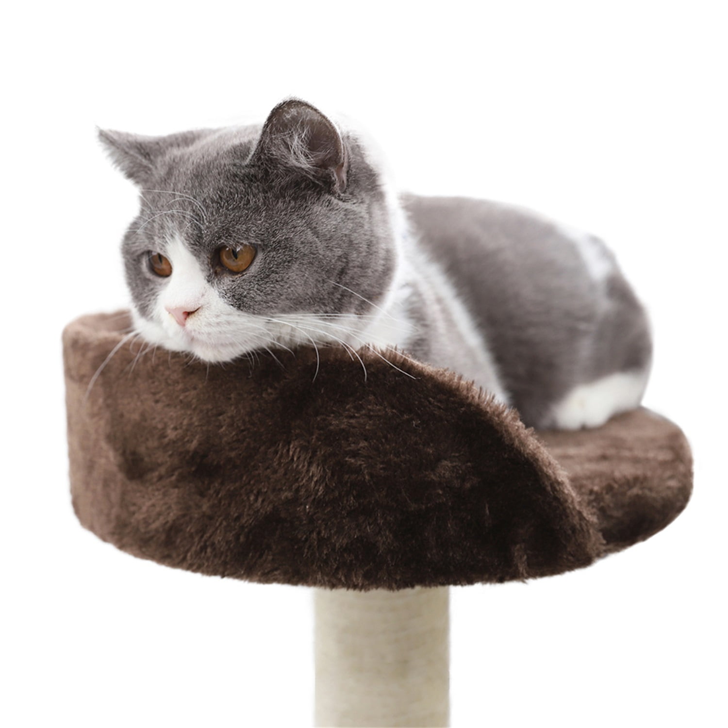 Pefilos 25" Cat Scratching Post, Sisal Rope Scratcher Tree with Hammock and Dangling Ball, Multi-level Cat Tree for Kittens and Adult Cats, Blue Pefilos 25" Cat Scratching Post, Sisal Rope Scratcher Tree with Hammock and Dangling Ball, Multi-level Cat Tree for Kittens and Adult Cats, Blue