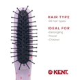 thumbnail image 6 of Kent ARTH1 Baby Hair Brush, Hair Brush for Kids, Small Brushes for Hair and Travel Brush Hair Detangler with Non-Scratch Nylon Bristles for Gentle Detangling Arthedz, 6 of 18