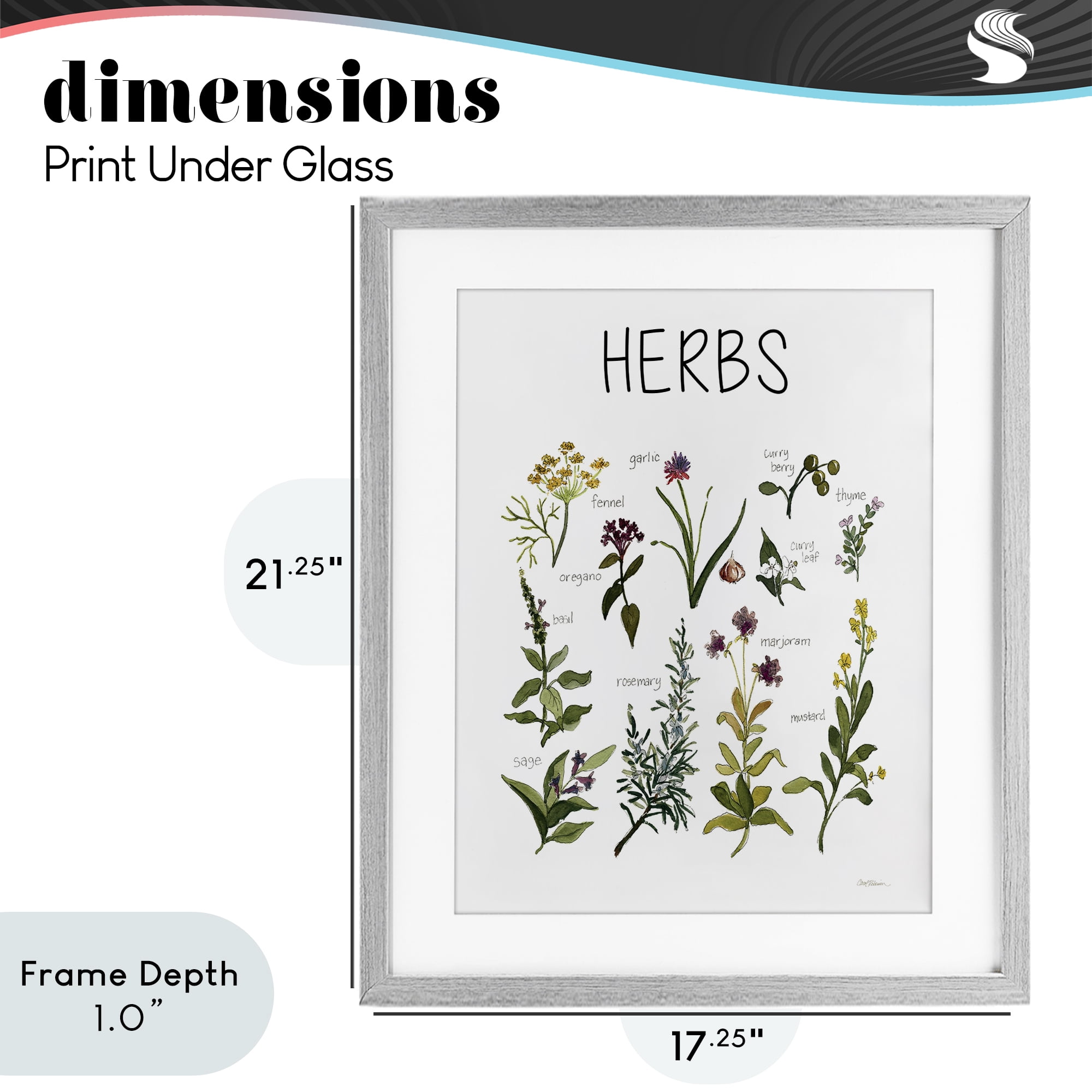 Stupell Industries Herbs Identification Chart Gray Framed Print Under Glass, design by Carol Robinson