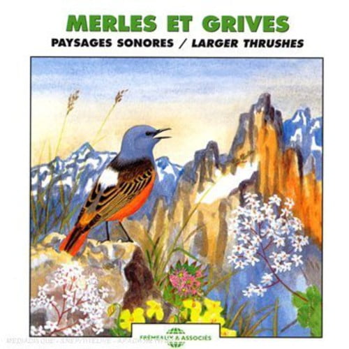 The Sounds of Nature - Larger Thrushes - New Age - CD