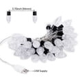 thumbnail image 7 of 14.76ft 40 Bulbs LED Strawberry String Lights, USB Supplied Colored Decorative Lighting for Party, Celebration, Wedding Decoration, 7 of 7