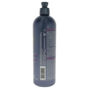 Roux Fanci-Full Rinse Instant Hair Color - 41 True Steel , 15.2 oz Hair Color