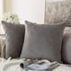 thumbnail image 3 of Paquete de 2 fundas de cojín cuadradas decorativas de terciopelo suave, fundas de almohada, decoración del hogar, decoraciones para sofá, cama, silla, 3 of 8