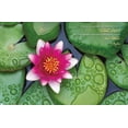 thumbnail image 4 of Zen - Lily Pads Wall Poster with Pushpins, 22.375" x 34", 4 of 6