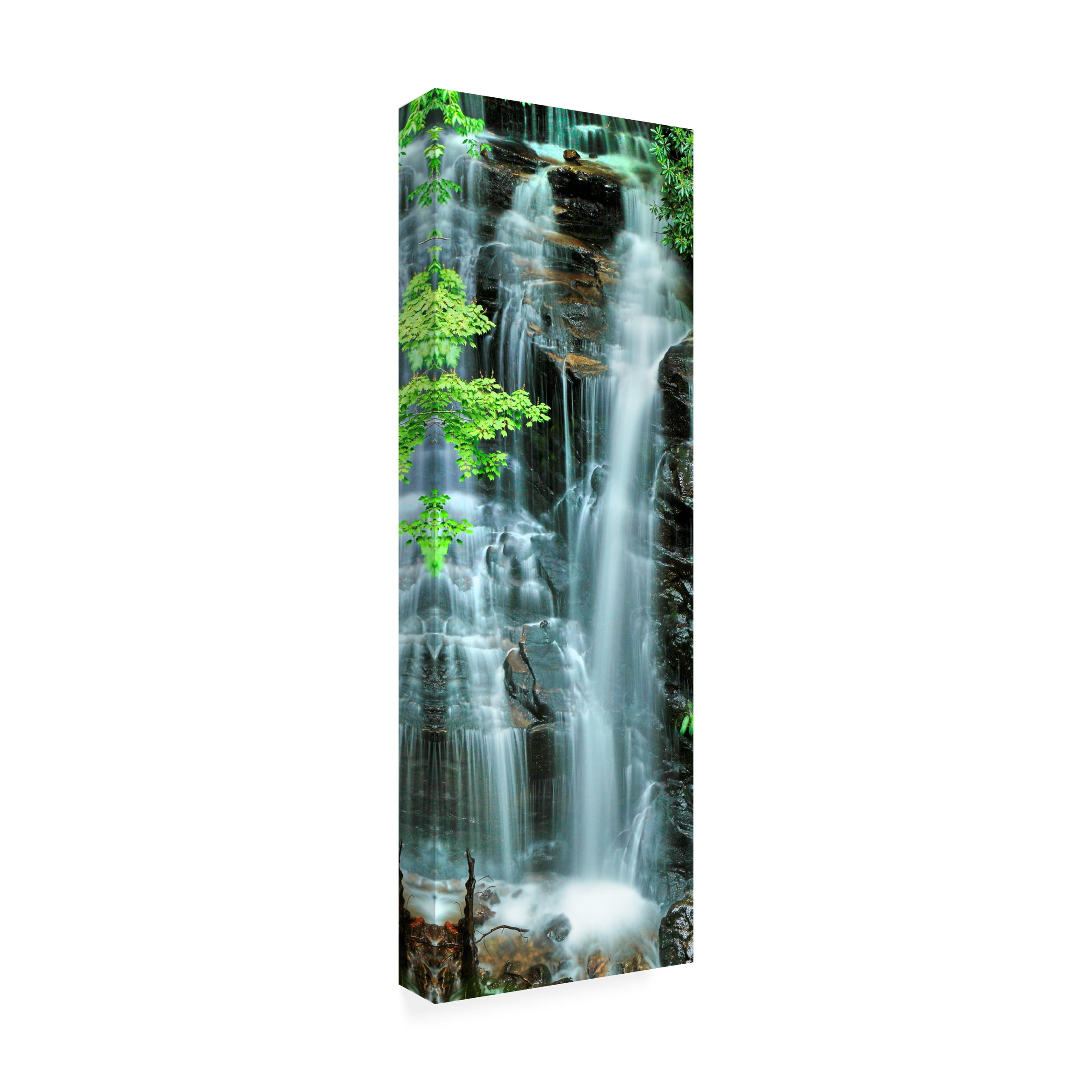 James McLoughlin 'Vertical Falls I' Canvas Art
