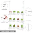 thumbnail image 4 of Estantes transparentes para colgar plantas en ventanas, Otniap, 16 pulgadas, 3 niveles, paquete de 2, 4 of 7