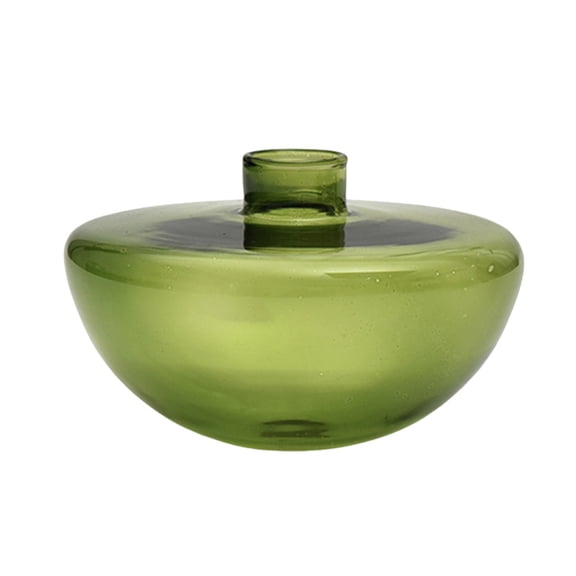 CoudarTitie Glass Flower Vase Flower Arrangement Housewarming Gift Creative Decor Hydroponic Green