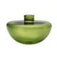 thumbnail image 2 of Florero de vidrio BLESIY hidropónico Contenedor de flores verde, 2 of 8