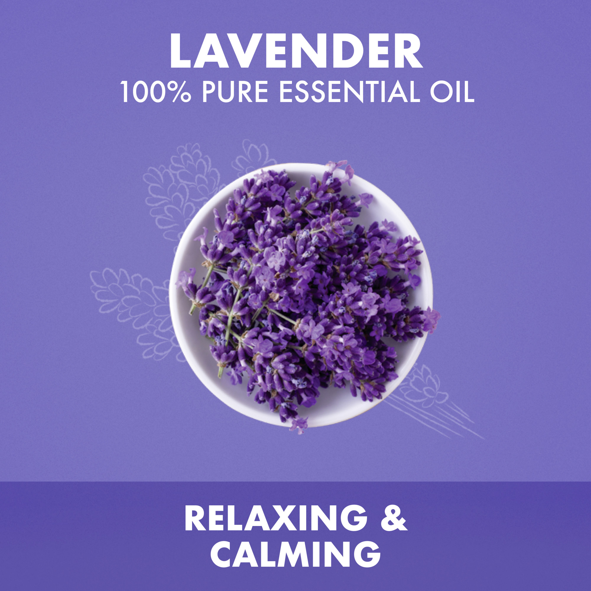 SheaMoisture 100% Pure Essential Oil Lavender, 0.45 Oz. - image 2 of 13